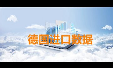 德国进口数据_提供精准决策人信息