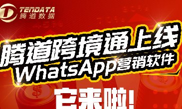 腾道WhatsApp营销软件它来啦！只需999元