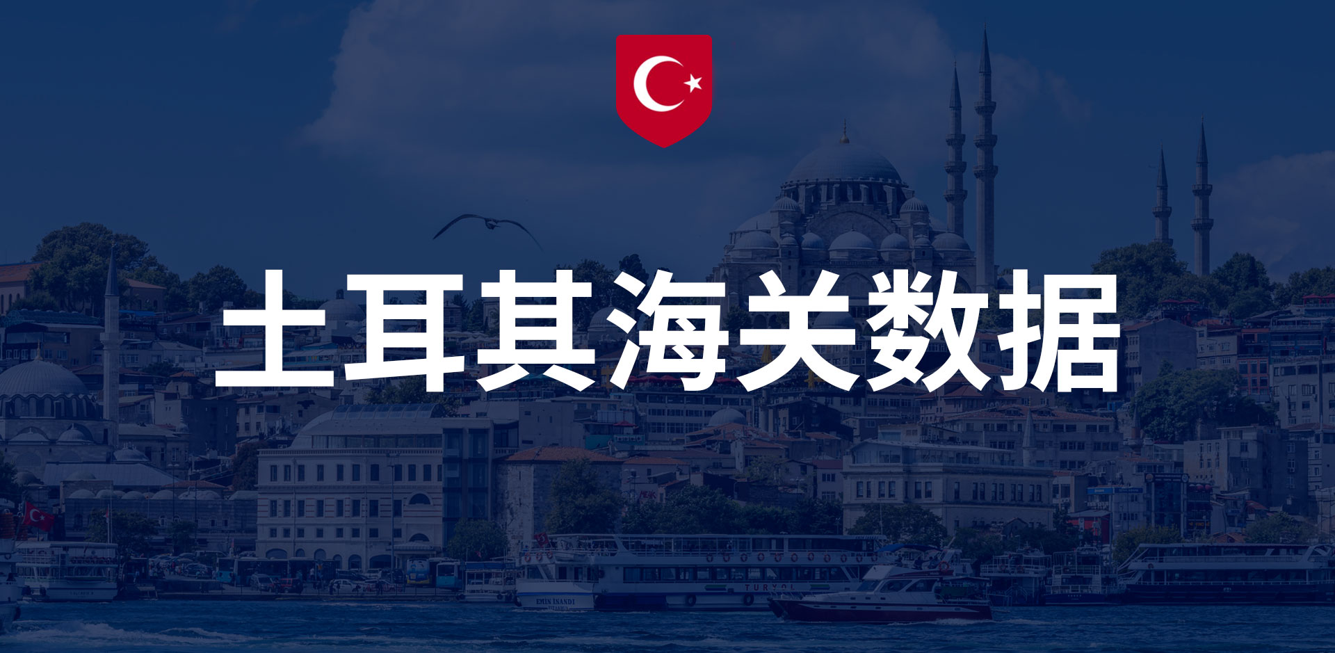 土耳其海关数据-全球海关进出口数据