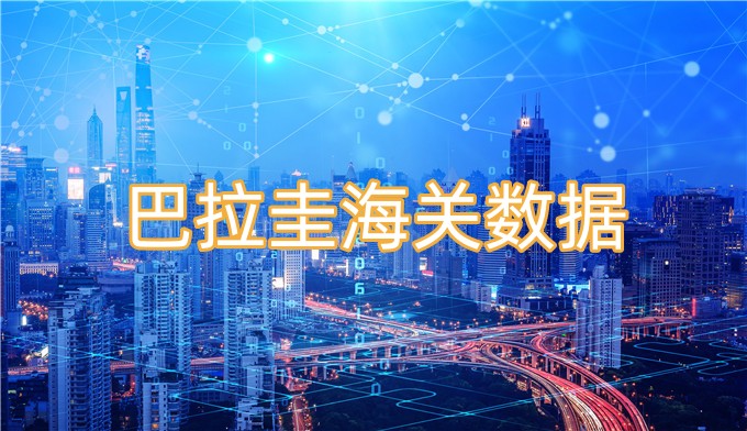 巴拉圭海关数据-全球海关进出口数据
