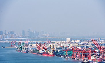 进出口数据如何帮助企业发展