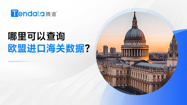哪里可以查询欧盟进口海关数据？
