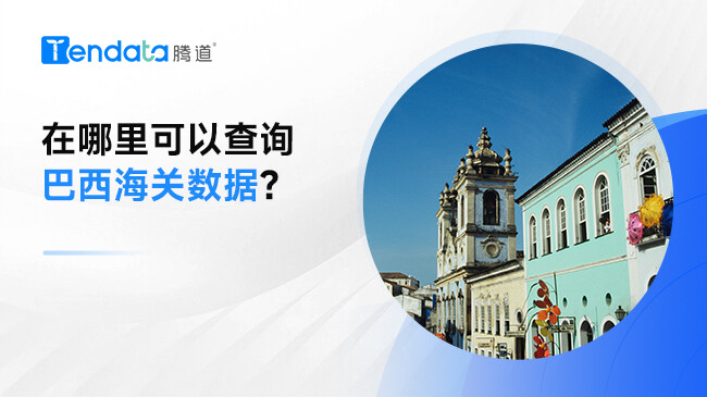 在哪里可以查询巴西海关数据？
