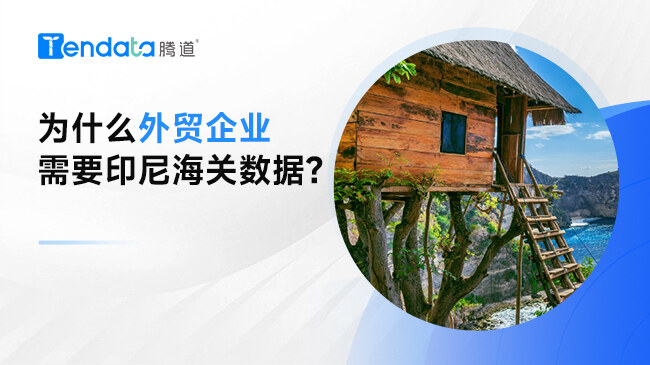 为什么外贸企业需要印尼海关数据?