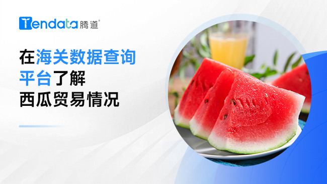 在海关数据查询平台了解西瓜贸易情况