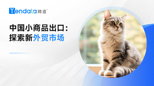 中国小商品出口：探索新外贸市场