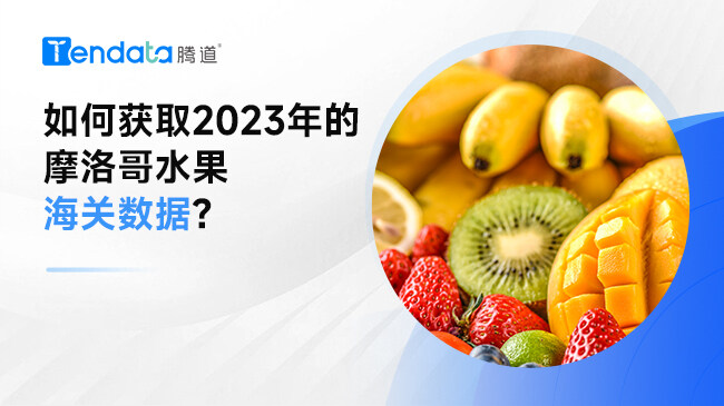 如何获取2023年的摩洛哥水果海关数据?