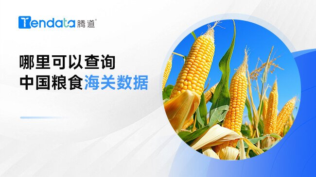 哪里可以查询中国粮食海关数据