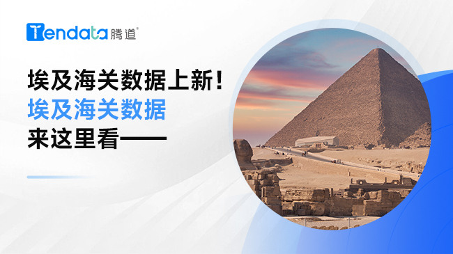 埃及海关数据上新！埃及海关数据来这里看——