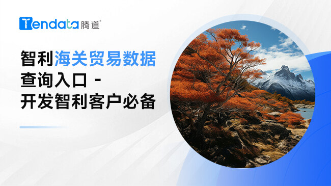 智利海关贸易数据查询入口 - 开发智利客户必备