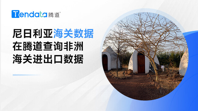 尼日利亚海关数据——在腾道查询非洲海关进出口数据