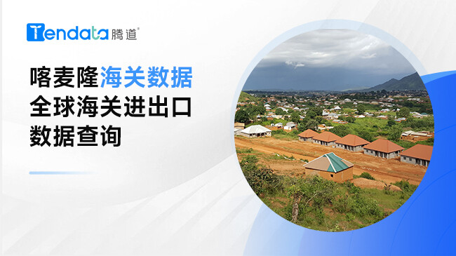 喀麦隆海关数据—全球海关进出口数据查询