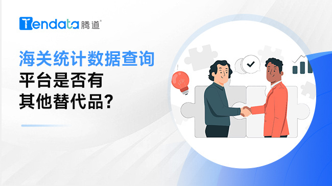 除了海关总署，海关统计数据查询平台是否有其他替代品?