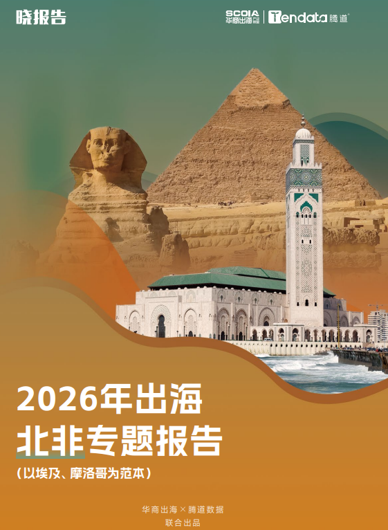 2026年—北非热门市场和热销产品报告