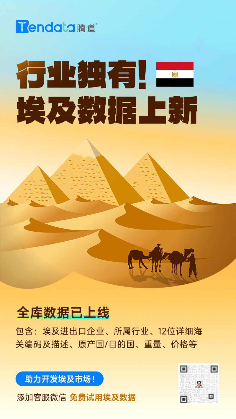 埃及数据上新2025