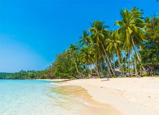古巴海关数据,海关数据,海关数据查询