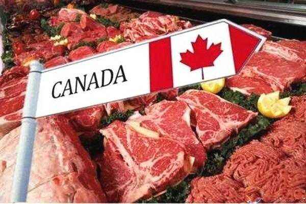 加拿大,输华肉产,产品证书